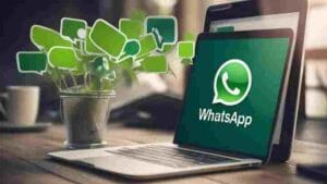 how to grow a whatsapp tv channel
